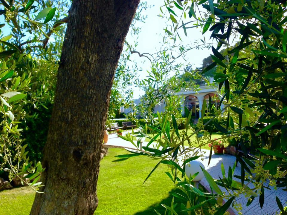 Hotel D'Altavilla คาโนซา ดิ พูเจลีย ภายนอก รูปภาพ